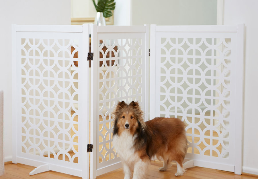 Dog Furniture Wayfair